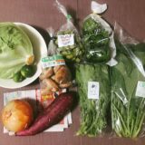 【宅配野菜レビュー】10月・坂ノ途中のお野菜セットが届きました！【今なら送料3回無料】