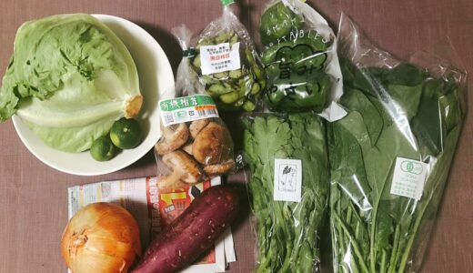 【宅配野菜レビュー】10月・坂ノ途中のお野菜セットが届きました！【今なら送料3回無料】